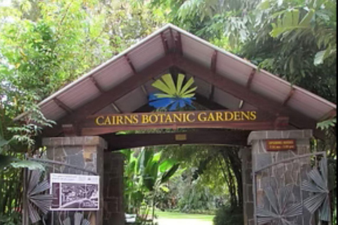 Cairns: Hop-On Hop-Off Bus Tour