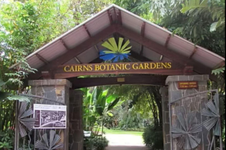 Cairns: Hop-On Hop-Off Bus Tour