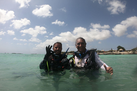 Discover Scuba Diving in Aruba