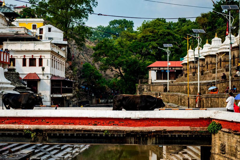 Kathmandu: Private Cultural and Heritage Day Tour