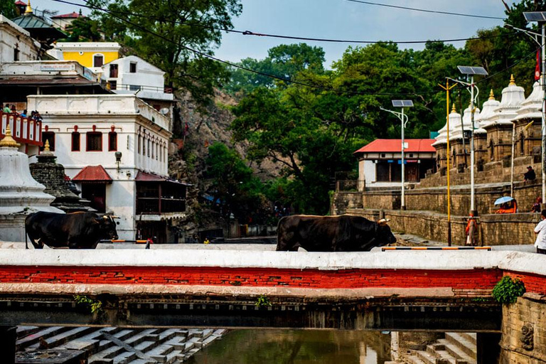 Kathmandu: Private Cultural and Heritage Day Tour