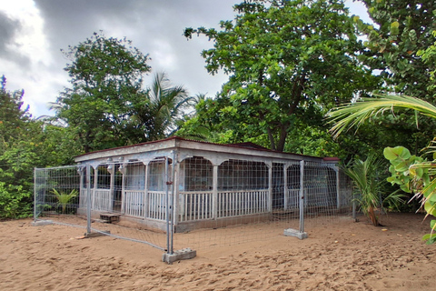From Deshaies: Private Death in Paradise Hotspots Tour