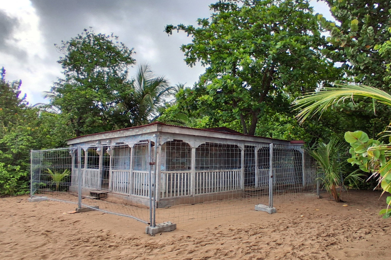 From Deshaies: Private Death in Paradise Hotspots Tour