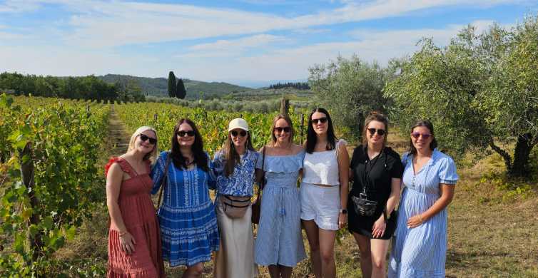 Visita à vinícola de Chianti: Viagem do vinho do vinhedo à garrafa