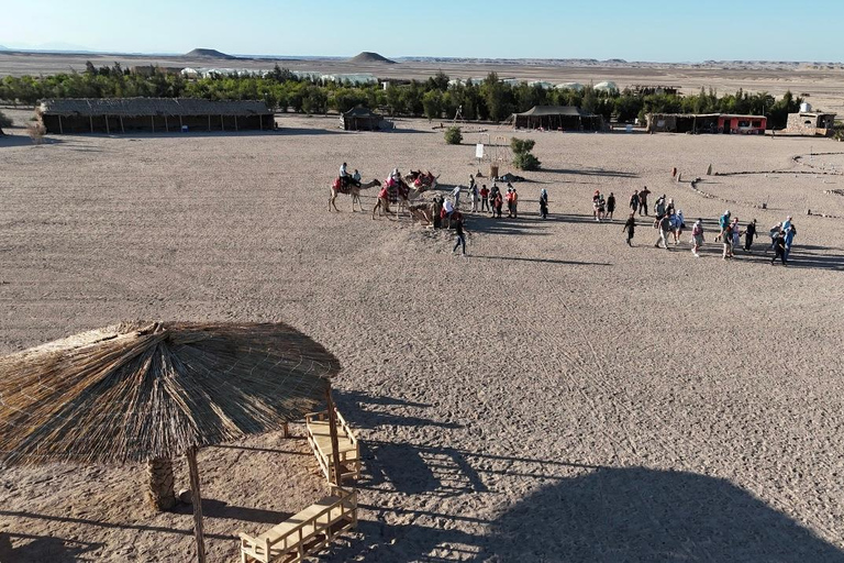 Hurghada: Jeep Safari, piantumazione di alberi e pranzo "dalla fattoria alla tavola"Hurghada: safari in jeep, piantumazione di alberi e pranzo "dalla fattoria alla tavola"