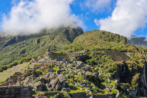 Cusco: Excursão de um dia a Machu Picchu com traslados de tremExcursão com ingresso para Machu Picchu