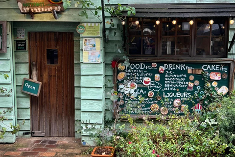 Tokio: wycieczka piesza po Kichijoji z jedzeniem i animeWycieczka poranna