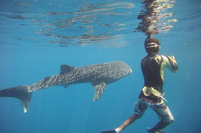 Duik Tour gecertificeerde duikers in Tamarindo