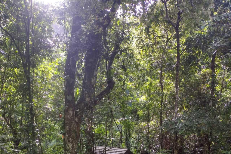 Puerto Rico: Gozalandia River Hiking and Waterfall Tour