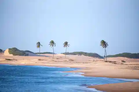 Maceió: Excursión al río São Francisco