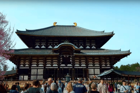 Depuis Osaka/Kyoto : Visite touristique de Kyoto et Nara en journée privée