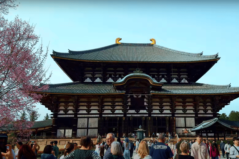 Depuis Osaka/Kyoto : Visite touristique de Kyoto et Nara en journée privée