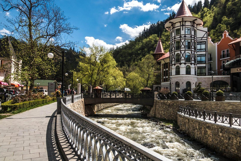 From Tbilisi to Vardzia, Rabati, Borjomi, and Tmogvi Tour