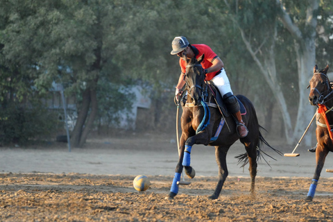 Avventura a cavallo a Jaipur