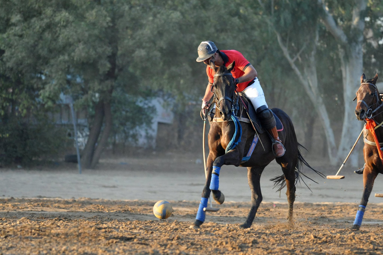 Avventura a cavallo a Jaipur