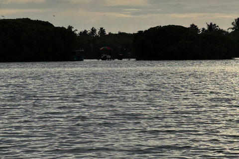 Tour en barco al atardecer por la laguna de Negombo y el canal holandésTour en barco por la laguna de Negombo y el canal holandés al atardecer