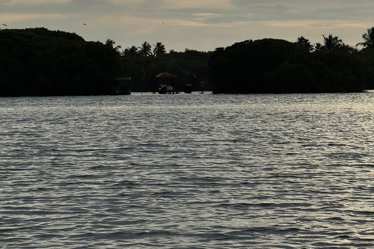 Tour en barco al atardecer por la laguna de Negombo y el canal holandésTour en barco por la laguna de Negombo y el canal holandés al atardecer