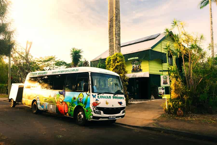 Cairns: 2-tägige Tour zu den Atherton Tablelands und Cape Tribulation. Foto: GetYourGuide