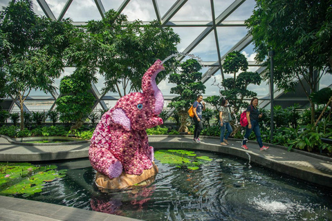 Jewel Changi Airport: Sky Nets Admission TicketBouncing Net and Canopy Park Entrance