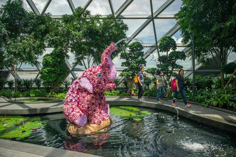 Jewel Changi Airport: Sky Nets Admission TicketBouncing Net and Canopy Park Entrance