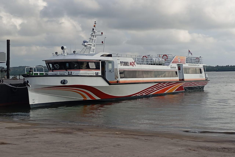 Gili Islands/Lombok: Bali Fast Ferry Transfer with Hostess Padang Bai to Lembongan