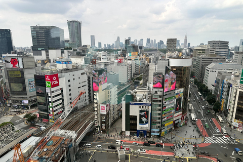 Tokyo: Tour guidato dall&#039;Ing di 2 giorni del Monte Fuji e della città di Tokyo