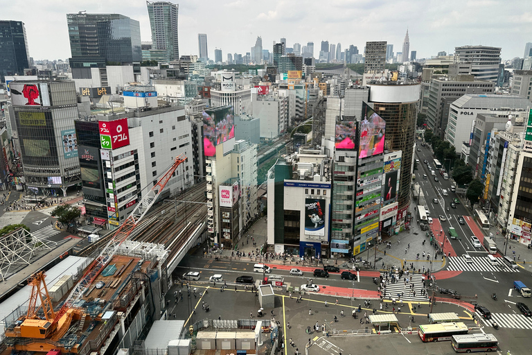 Tokyo: Tour guidato dall&#039;Ing di 2 giorni del Monte Fuji e della città di Tokyo