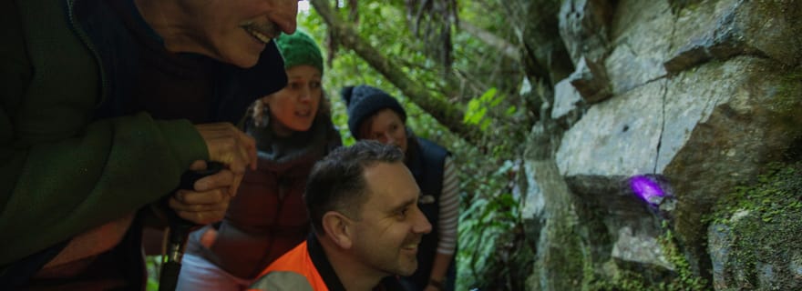 Nelson : promenade nocturne au sanctuaire de Brook Waimārama