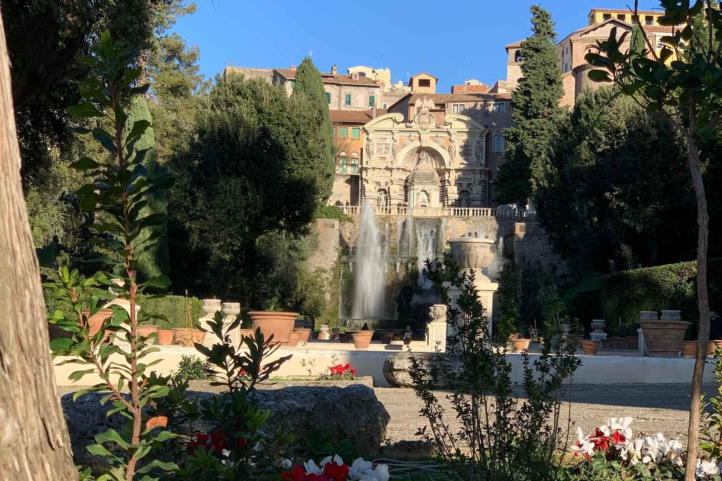 Esperienza fotografica a Tivoli e Nemi con trasporto gratuito