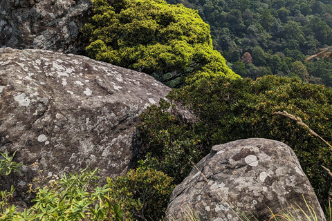 Da Kandy: escursione alle cime gemelle di Kanawiddagala e YahangalaDa Kandy: escursione alle due cime gemelle di Kanawiddagala e Yahangala