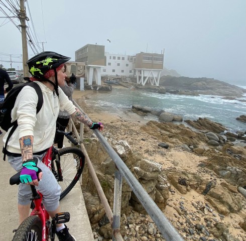 Visit Viña del Mar Coastal Bike Tour in Valparaíso