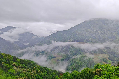Longji Rice Terraces Easy Exploration Tour by Golf Cart