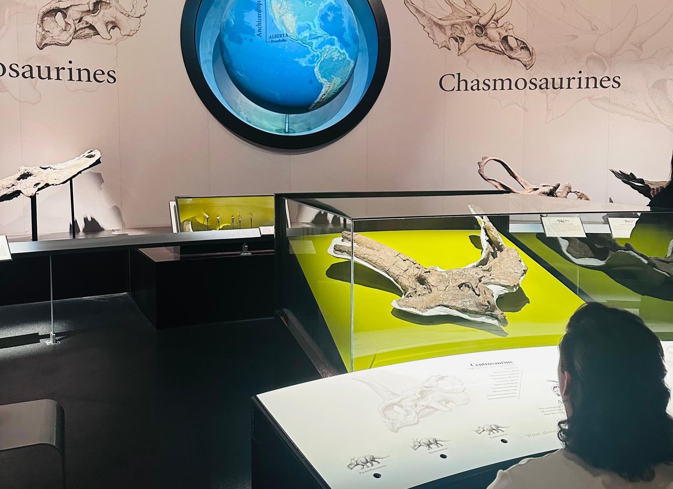 Badlands-tur: Drumheller med museum, hoodoos og dinosaurer