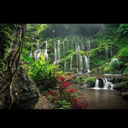 Bali: Private North Bali Tour with 10 Itinerary Options Bali: Private North Bali Tour with 10 Itinerary Options