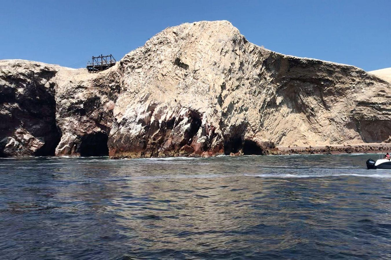 Hele dag Paracas - ica vanuit LimaHele dag Paracas-ica vanuit Lima