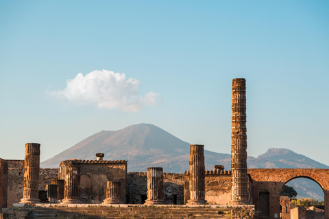 Vanuit Napels: Pompeii en Sorrento Bus Tour met Gids