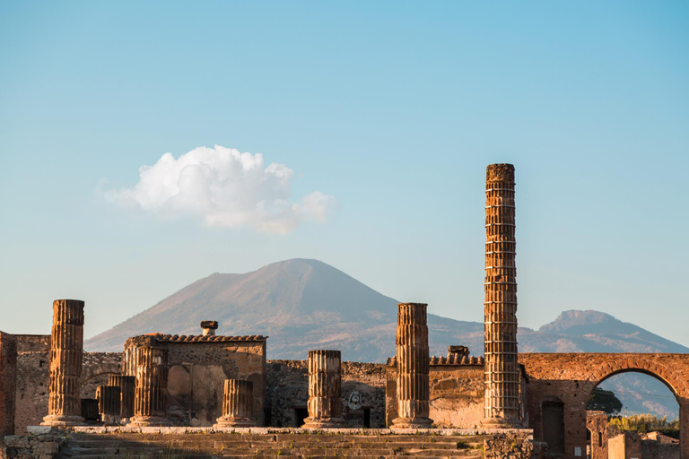 Vanuit Napels: Pompeii en Sorrento Bus Tour met Gids