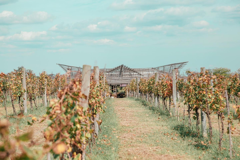 Buenos Aires: Wein- und Essensbegleitung und Mittagessen im Weingut Gamboa (mit Transport)