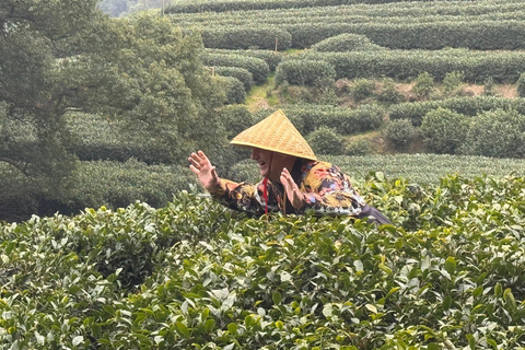 Hangzhou: Small-Group Day Trip from Shanghai by Bullet Train