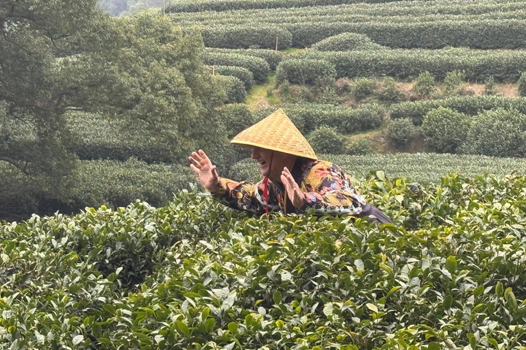 Hangzhou: Small-Group Day Trip from Shanghai by Bullet Train