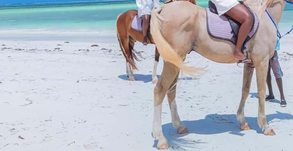 Zanzibar: Horse Riding, Swim with Turtles & Stone Town Tour
