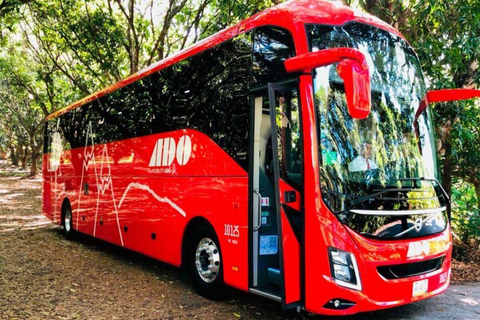 Cancun: Airport Transfer to/from Downtown by Bus Single Bus Ticket from Cancun Airport to Downtown Cancun