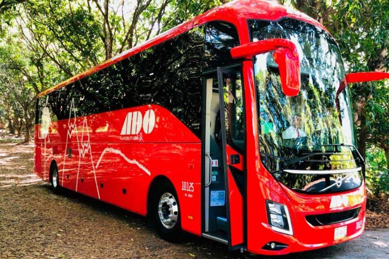 Cancun: Airport Transfer to/from Downtown by Bus Single Bus Ticket from Cancun Airport to Downtown Cancun