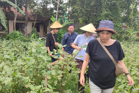 Yogyakarta: clase de cocina con visita al mercado y servicio de recogida del hotelClase de cocina con servicio de recogida del hotel