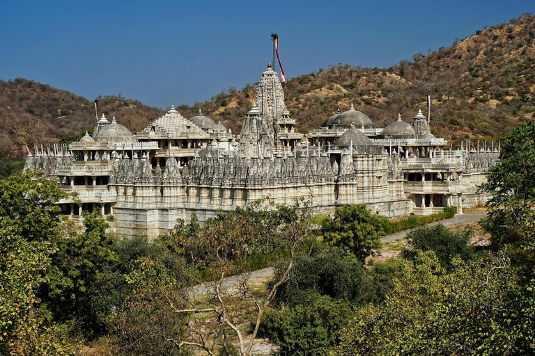 From Udaipur: 3-Day Jawai Leopard Safari & City Tour