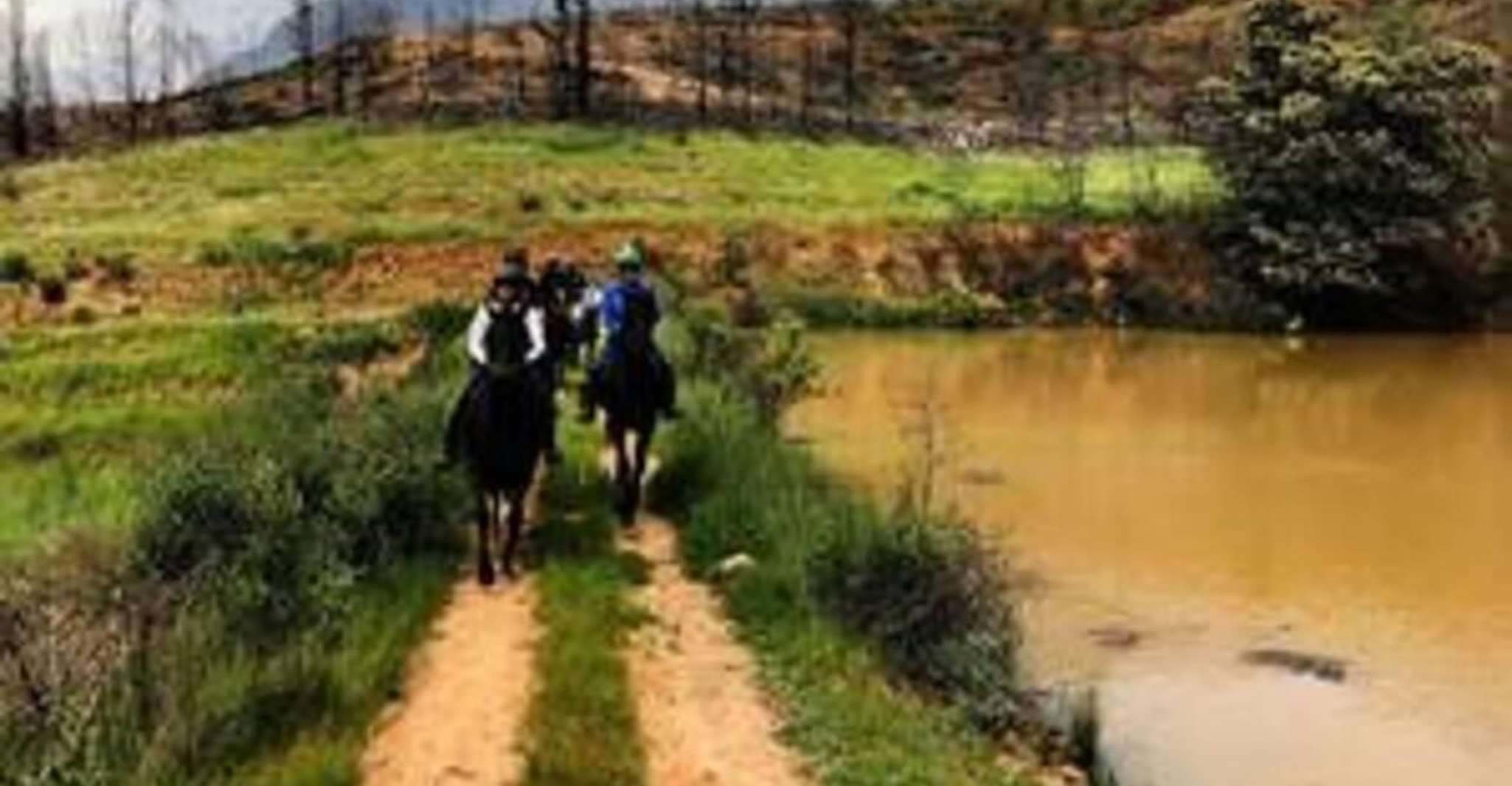 Vrede en Lust Wine Estate, 1h30m Horse Trail Ride - Housity