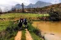 Vrede en Lust Wine Estate, 1h30m Horse Trail Ride - Housity