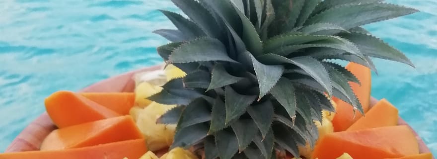 Croisières à la journée vers Tetiaroa