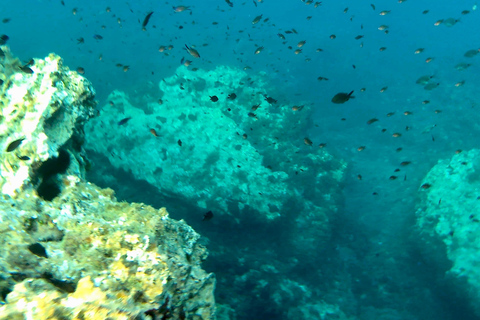 Curso de Paddle Surf, Visita Cueva, Calas, Snorkel