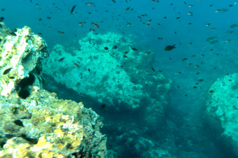 Cours de paddle surf, visite de la grotte, des calanques, plongée en apnéeExcursion au Sup, dans les grottes et avec masque et tuba